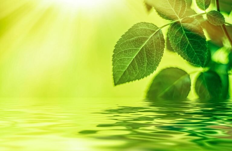 Más allá del biohacking, una mirada crítica desde la ciberseguridad