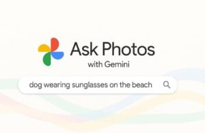 🖼️ ¿Recuerdas esa foto del perro con gafas en la playa? Google ya sí