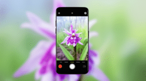 Seek: Convierte tu Smartphone en un Experto en Vida Silvestre con IA