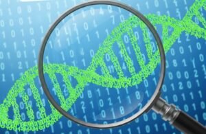 Brecha en Google: Robo de términos de búsqueda expone la privacidad