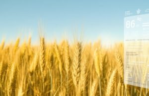 Inteligencia Artificial contra el Cambio Climático: Predicción del Tiempo para Agricultores