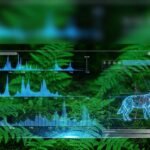 IA al Rescate: Cómo Google usa la Inteligencia Artificial para Salvar Especies