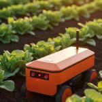 La revolucion de la agricultura: como la IA y la robotica estan cubriendo la falta de mano de obra
